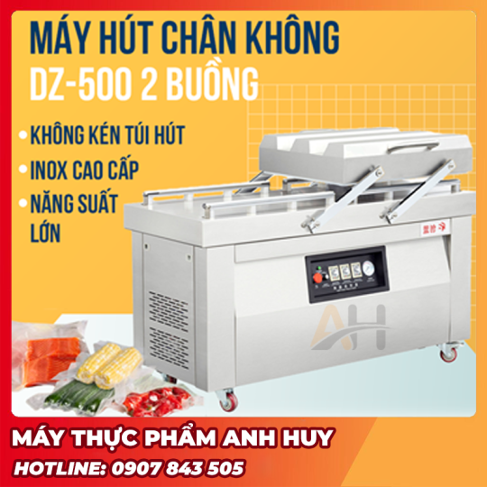 Máy Hút Chân Không DZQ 500 2S